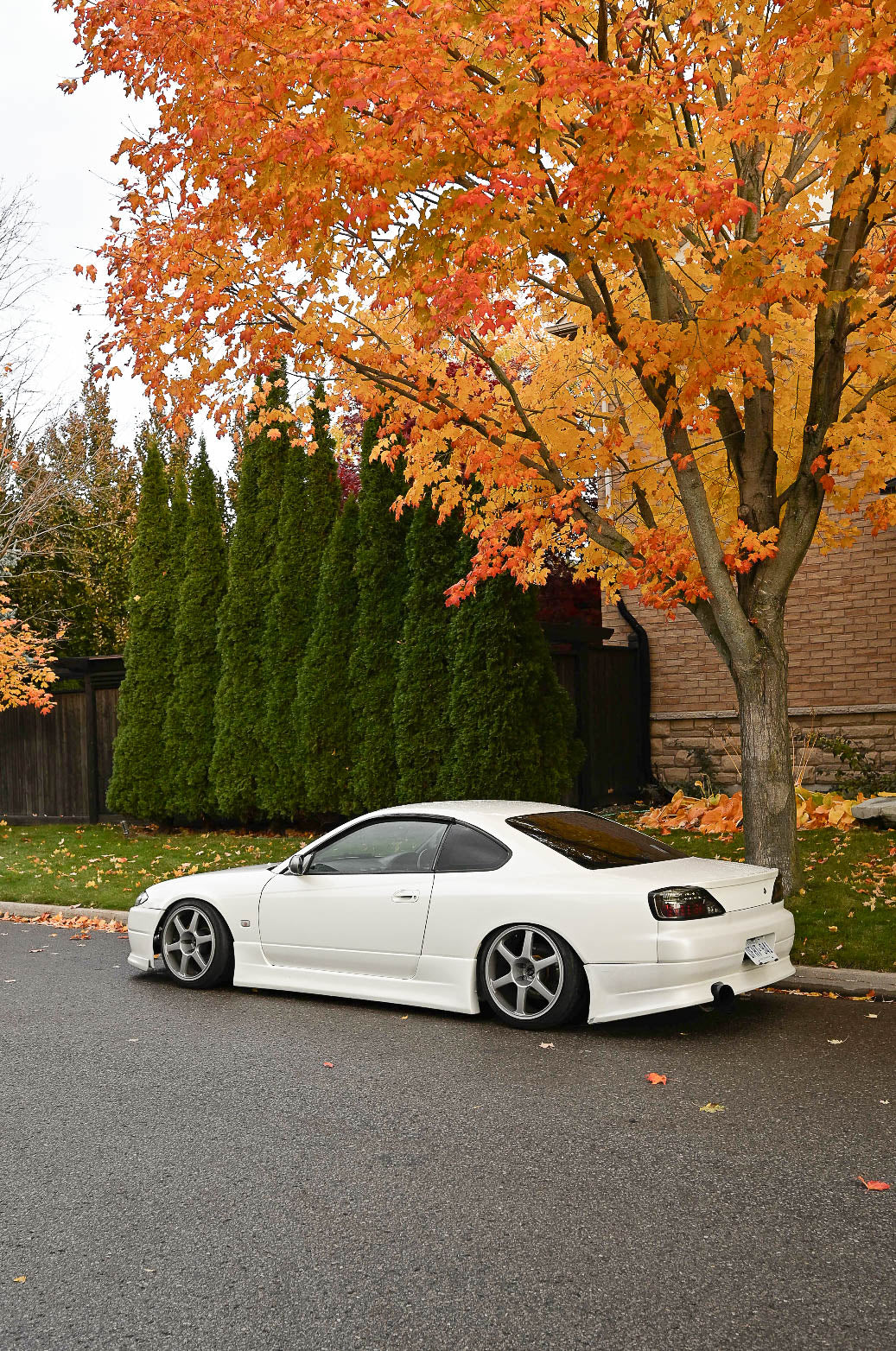 AVS Model 6 17x9j +20